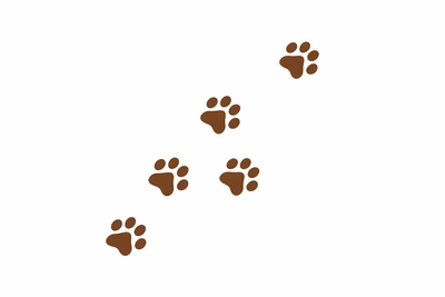 Paw print